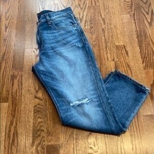 NWT Hudson Jessi Relaxed Cropped Boyfriend